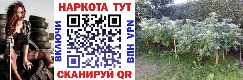 Купить Чкаловск А ПВП  Мефедрон  ГАШ  Канабис  КОКАИН 