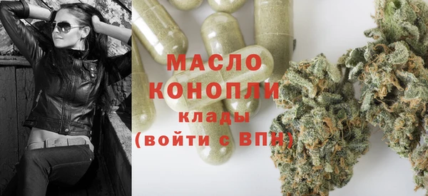 МДПВ Бородино